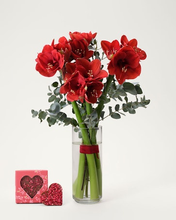 Amaryllisfrossa med chokladhjärta