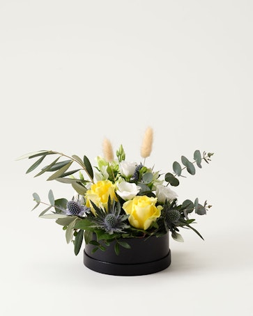 Examensboxen, liten