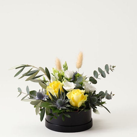 Examensboxen, liten