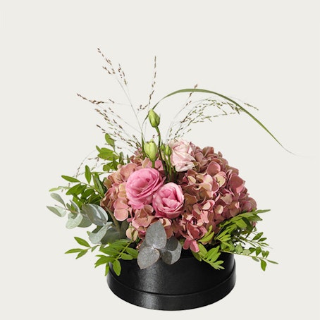 Hortensiaboxen, liten