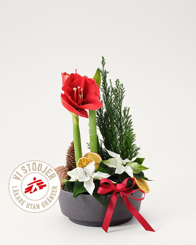 1750959075-1202857-2025