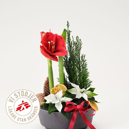 Julgrupp Utan Gränser