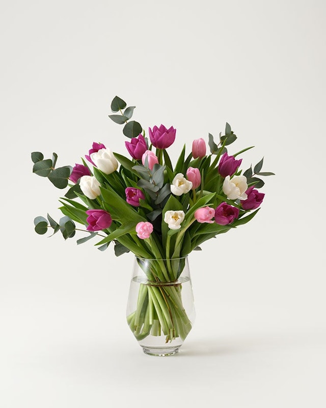 1750959075-1202857-2025