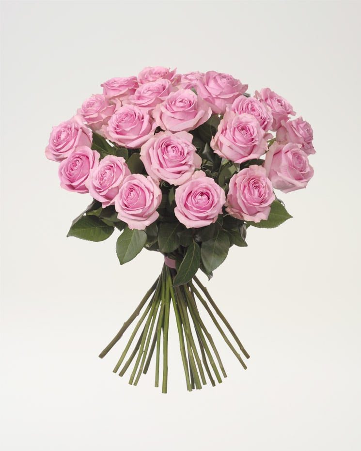 Blomsterbukett Pris () Blomsterbukett Pris