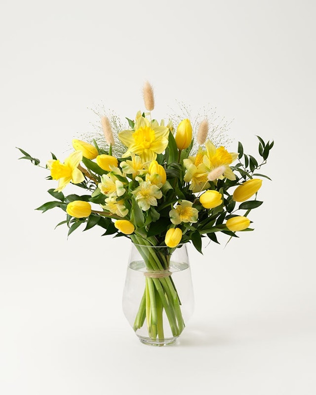 1750959075-1202857-2025