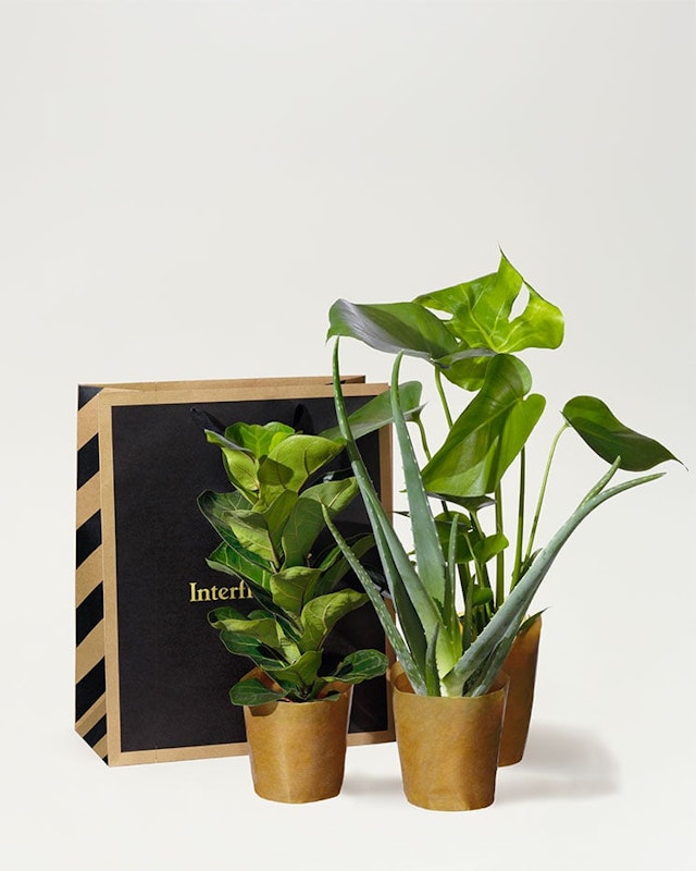 1211075_lattskotta_kassen-4-5-ny