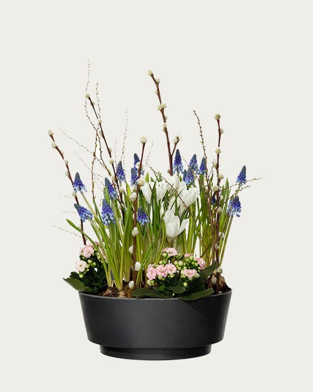 1750959075-1202857-2025