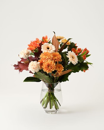 Mera Blomsterglädje