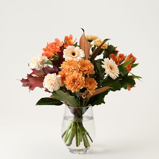 Mera Blomsterglädje