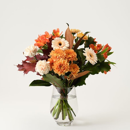 Mera Blomsterglädje