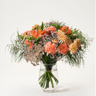 Mera Blomsterglädje