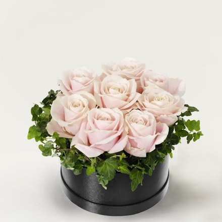 Rosa rosboxen, stor
