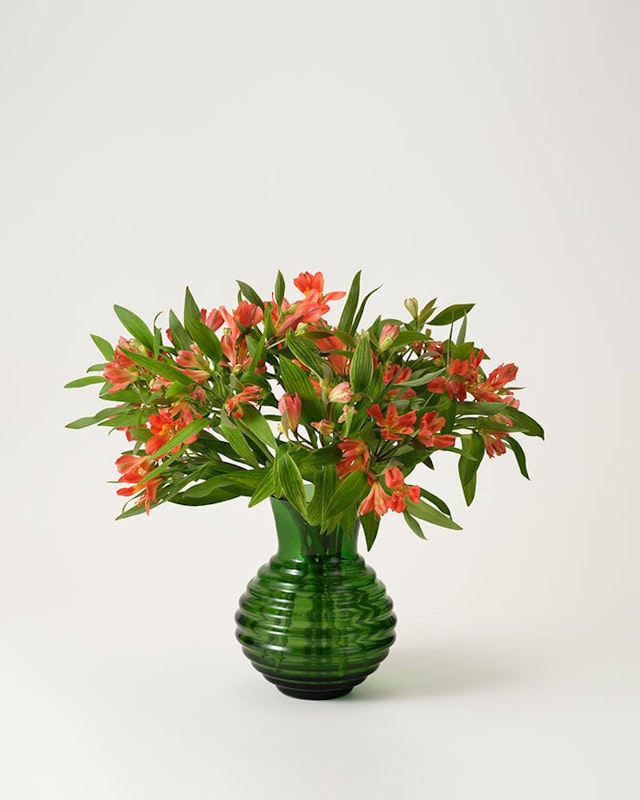 alstroemeria-orange-snitt-styckvis