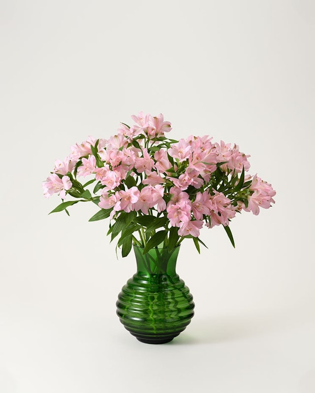 alstroemeria-rosa-snitt-styckvis