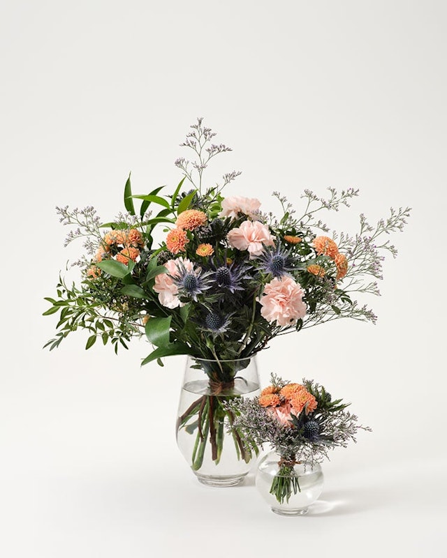 1202684-familjelycka-mellan-4-5-ny