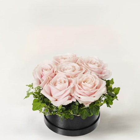 Rosa rosboxen, liten