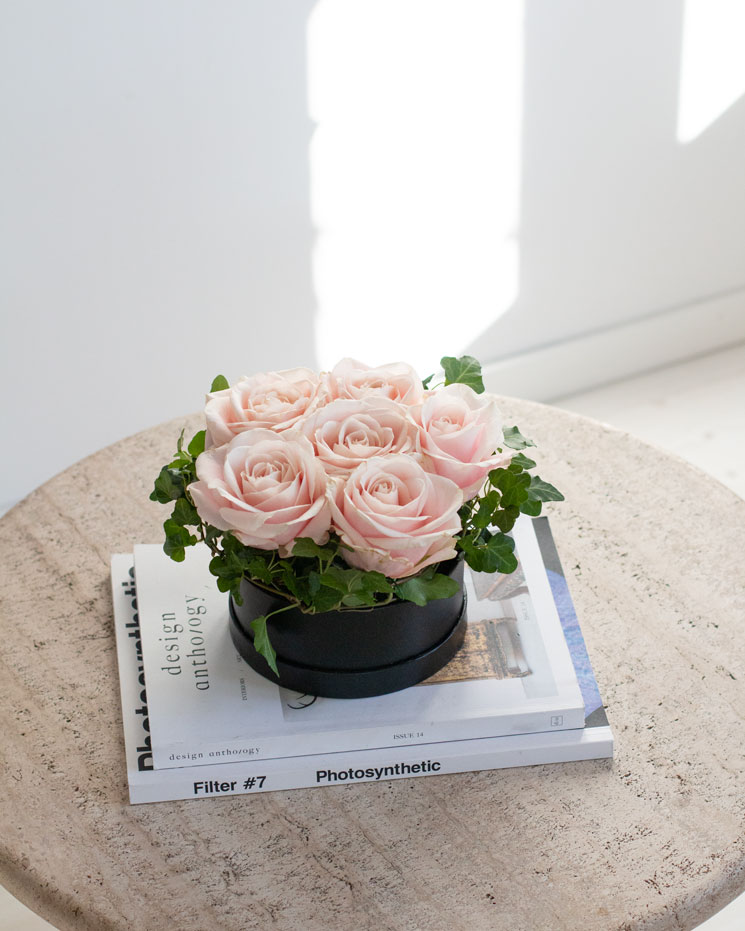 Rosa rosboxen, liten