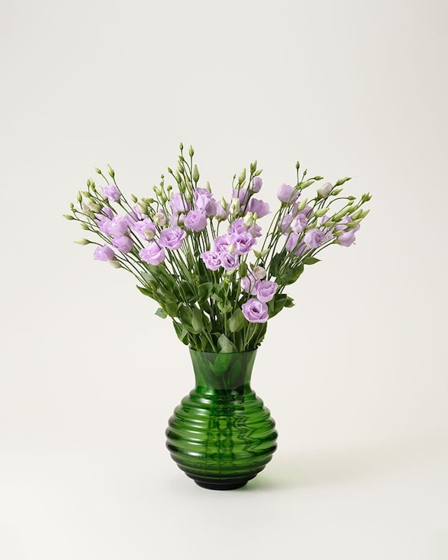 prarieklocka-lila-snitt-styckvis