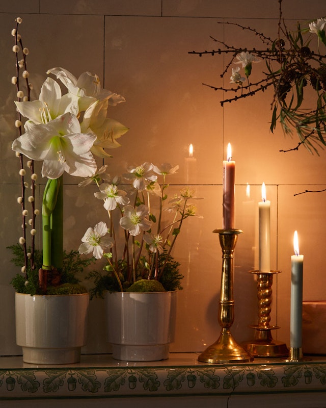 1750959075-1202857-2025