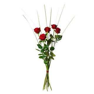 5 Röda rosor