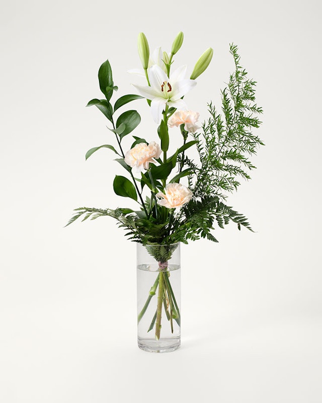 1750959075-1202857-2025