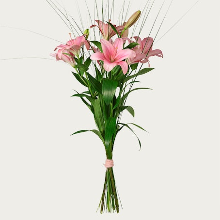 Rosa liljor med gräs