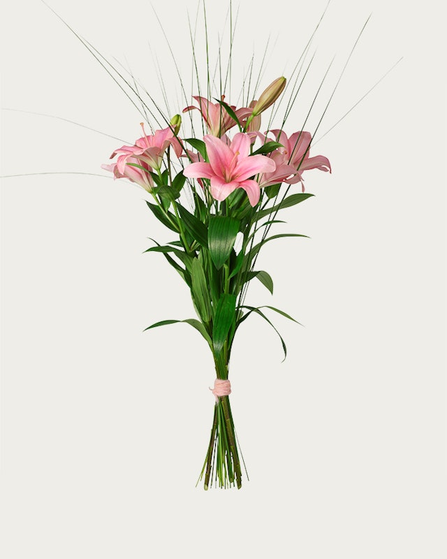 1201193-liljor-med-gras-4-5