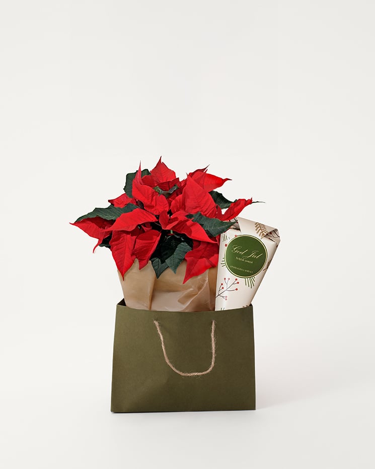 Presentpåse med röd julstjärna och en påse nougatpraliner.