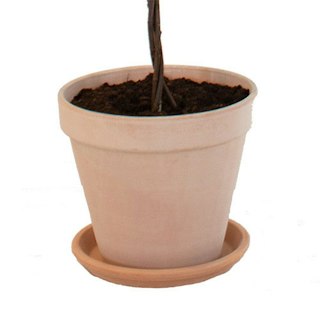 Kruka & omplantering 40 cm