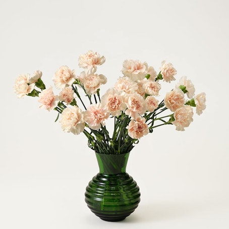 Nejlika creme/aprikos