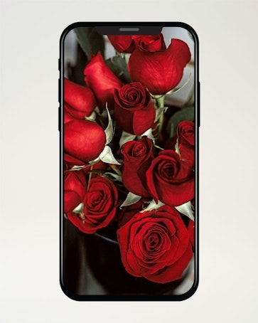 10 röda sms-rosor