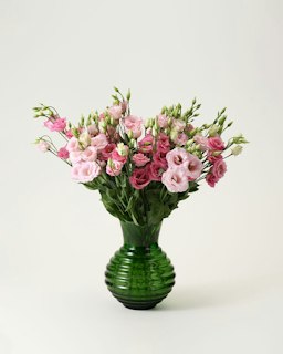 Prärieklocka, rosa