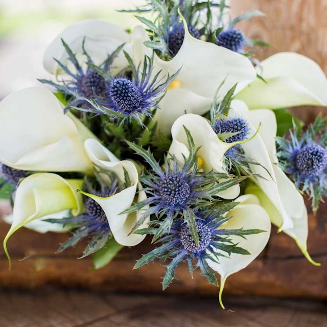 1750959075-1202857-2025