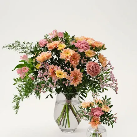 Välkommen till världen