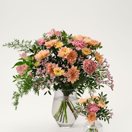 Välkommen till världen