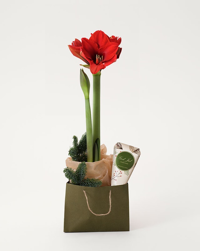 1750959075-1202857-2025