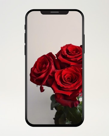 3 röda sms-rosor