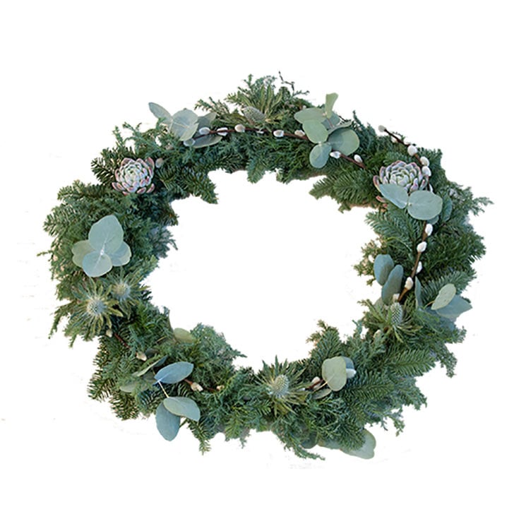 Julkrans helt i grönt - med gröna barrkvistar, grön echeveria och gröna eucalyptusblad.