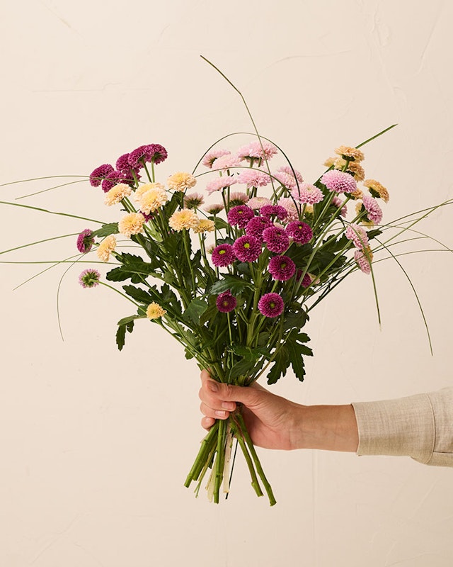 1203060-parlan-mellan-2