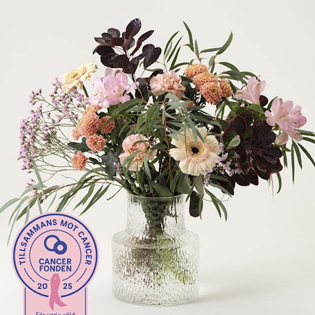 Rosa oktober