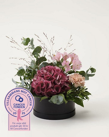 Rosa boxen