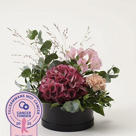 Rosa boxen