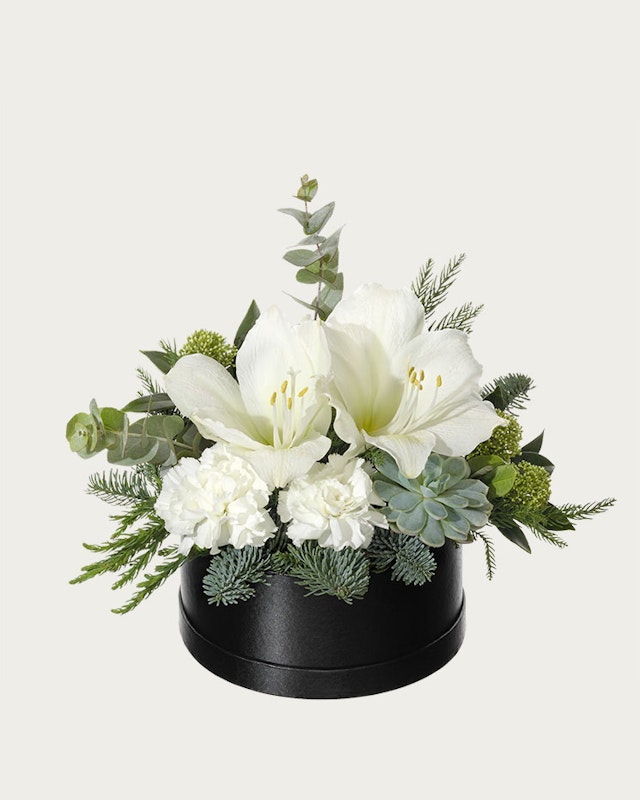 1760077117-1260638-2023-4-5