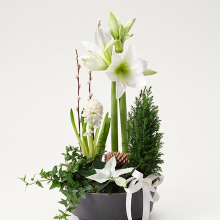 Julgrupp klassisk vinter, mellan