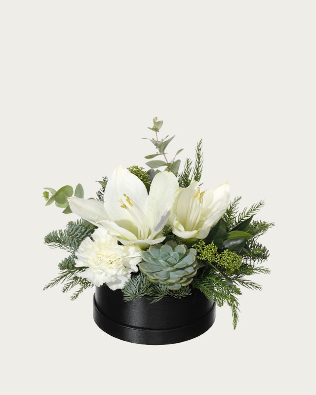 1750959075-1202857-2025