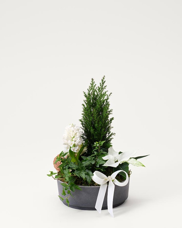 1750959075-1202857-2025