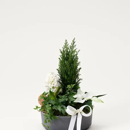 Julgrupp klassisk vinter, liten