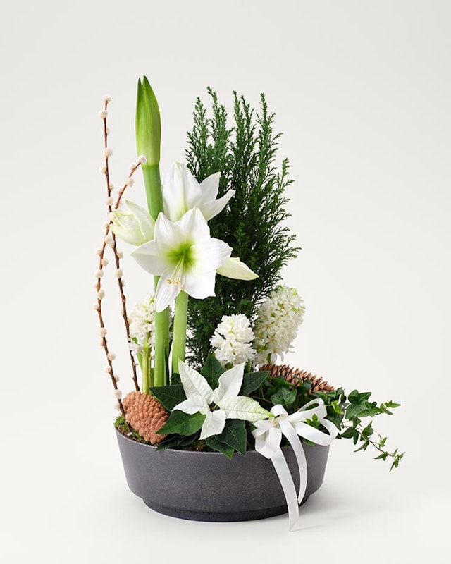 1760077259-1260709-2024-4-5