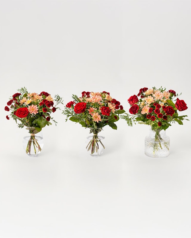 1203131-varm-halsning-mellan-2025-m2