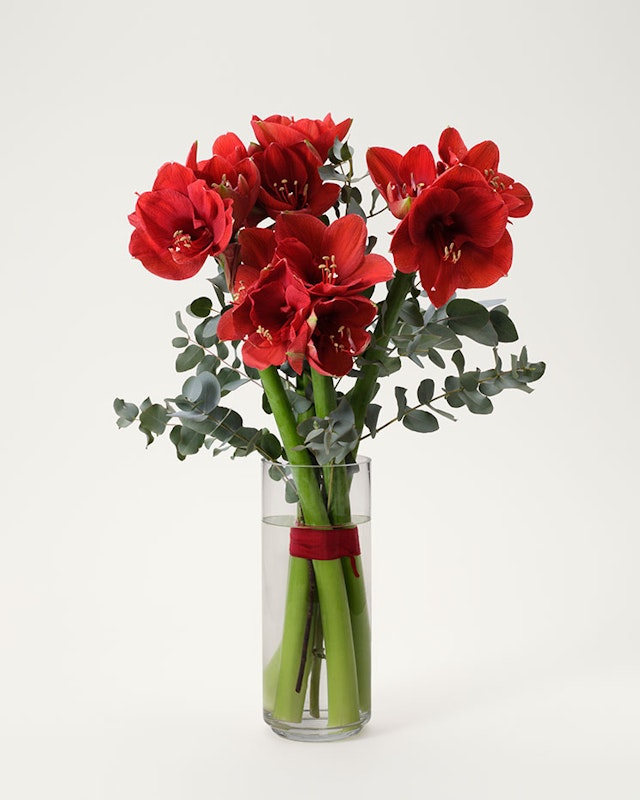 1763374818-1202144-ny-2023-4-5